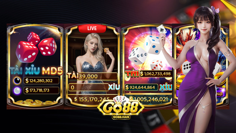 Banner www.gd33y.com